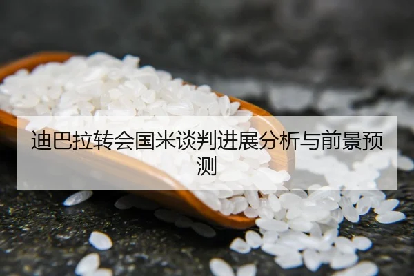 迪巴拉转会国米谈判进展分析与前景预测